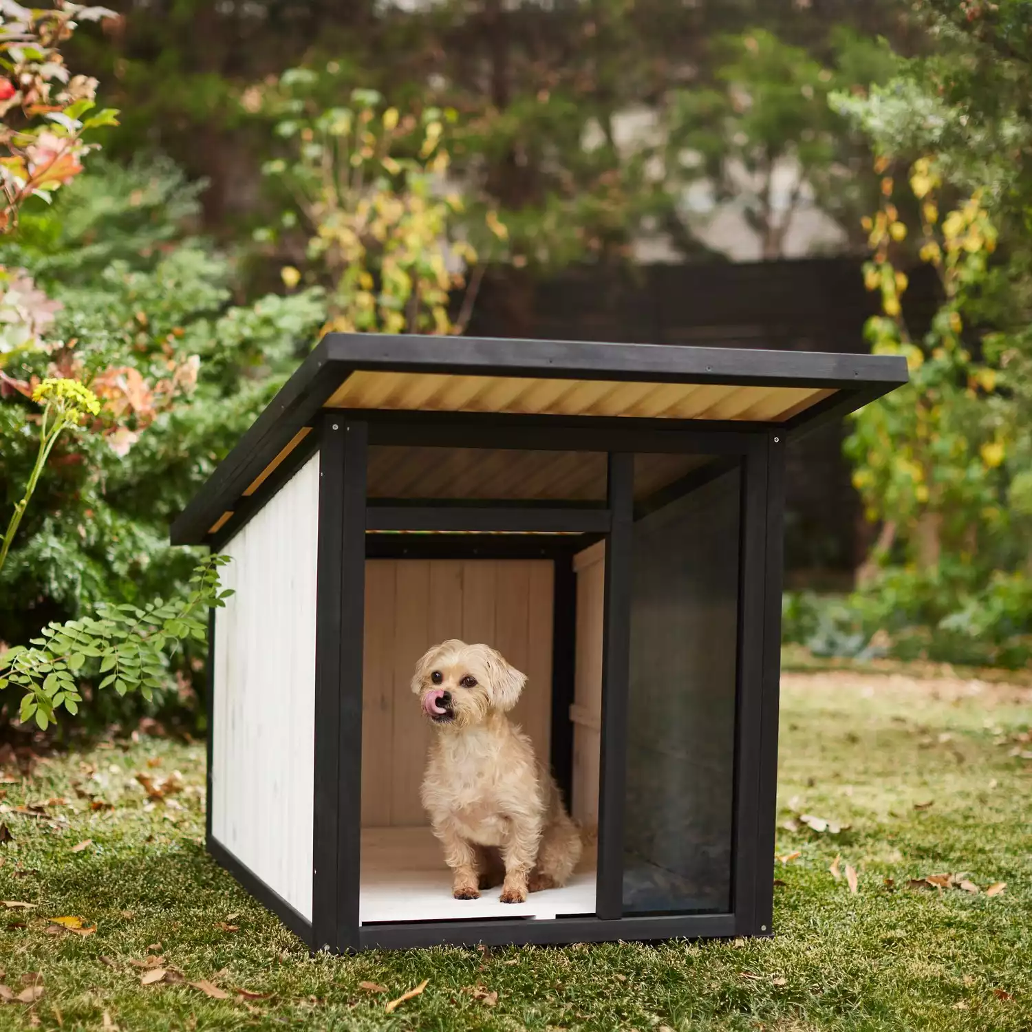 Frisco Modern Wooden Outdoor Dog House