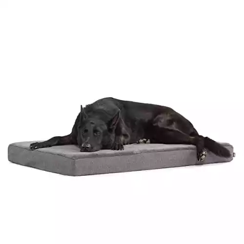 Barkbox Memory Foam Platform Dog Bed