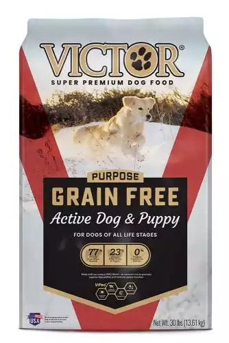 VICTOR Grain Free Active Dog & Puppy Food