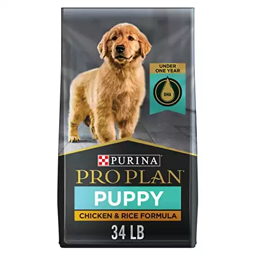 Purina Pro Plan Focus Puppy Chicken & Rice Dry Dog Food