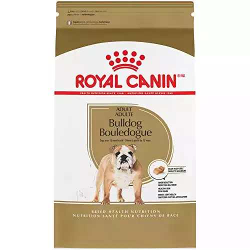 Royal Canin Bulldog Adult Dry Dog Food
