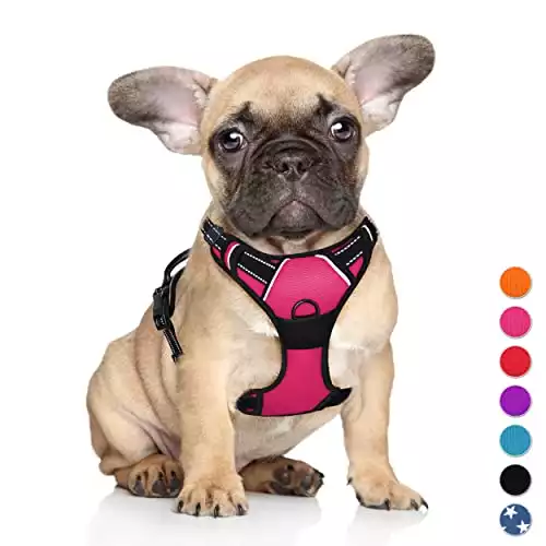 Pawsace Luxury French Bulldog No - Pull Dog Harness, Collar and