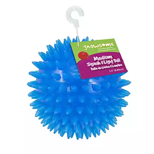 Gnawsome™ Spiky Squeak & Light Ball Dog Toy