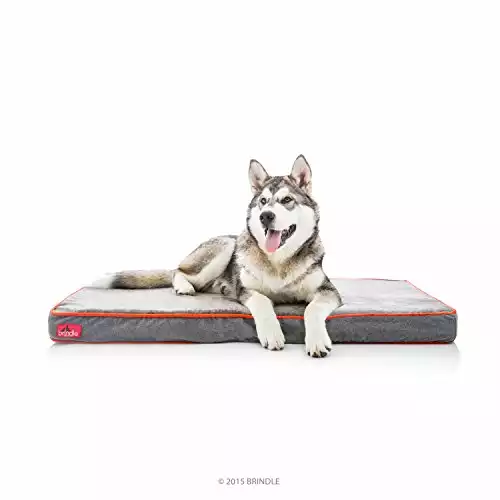 Brindle Waterproof Designer Memory Foam Bed