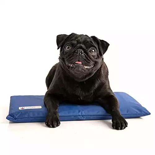 CoolerDog Dog Cooling Pad