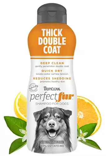 TropiClean PerfectFur Thick Double Coat Shampoo