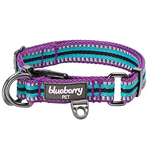 Blueberry Pet Multi-Colored Stripe Dog Collar