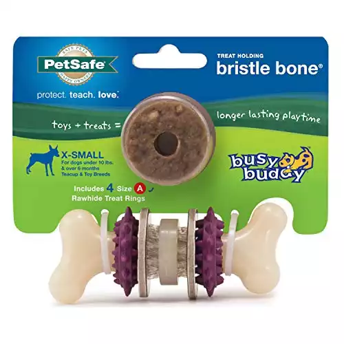 Busy Buddy Bristle Bone Chew Toy