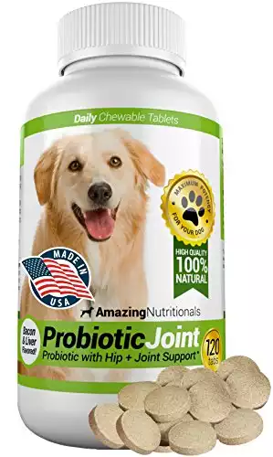 Amazing Nutritionals Probiotic Chewable Tablets