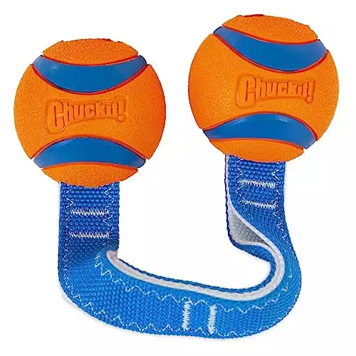 Chuckit Ultra Duo Tug Dog Toy