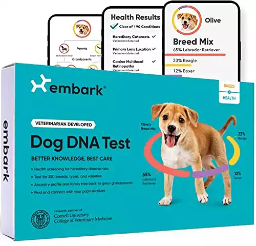 Embark | Dog DNA Test