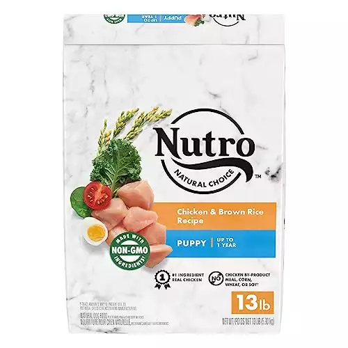 Nutro Natural Choice Puppy Dry Dog Food