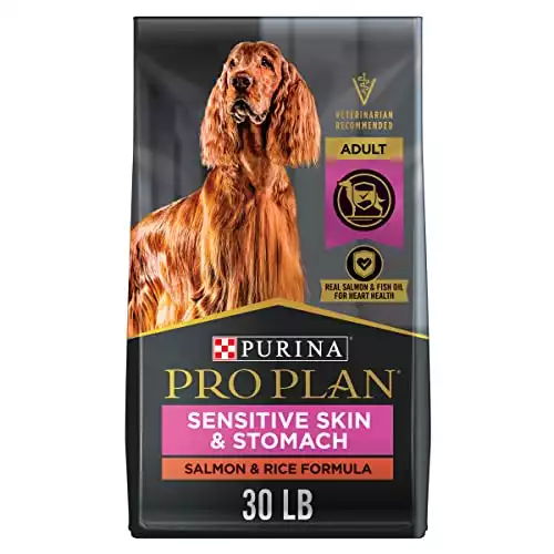 Purina Pro Plan Sensitive Skin & Stomach Salmon & Rice Formula