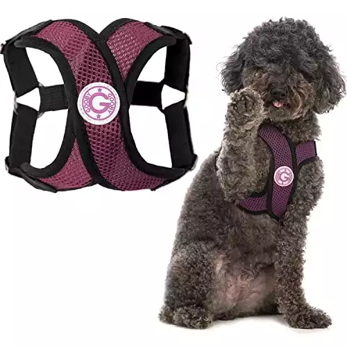 Gooby Comfort X Step-in Dog Harness