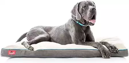 Brindle Soft Shredded Memory Foam Dog Bed with Removable Washable Cover