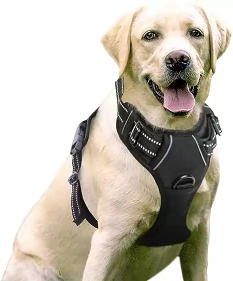 rabbitgoo No-Pull Dog Harness