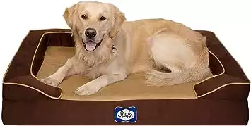 Sealy Lux Quad Layer Orthopedic Dog Bed with Cooling Gel