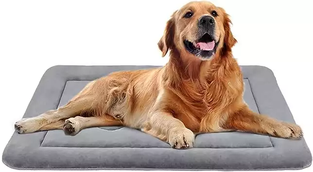 JoicyCo Large Dog Pad