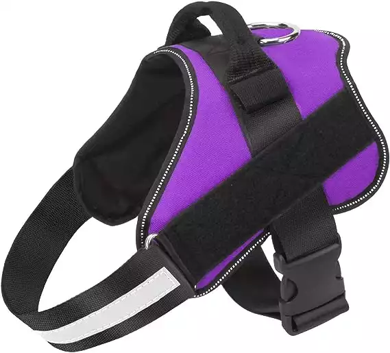 Bolux Dog Harness