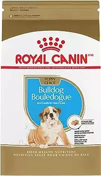 Royal Canin Bulldog Puppy Dry Dog Food