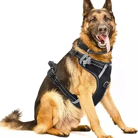 WINSEE Dog Harness No Pull