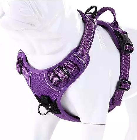 JUXZH Truelove Soft Front Dog Harness