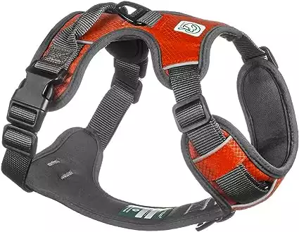 Embark Adventure Dog Harness