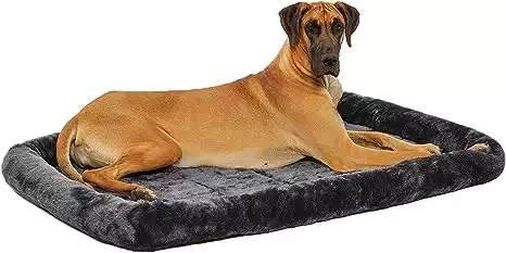 MidWest Bolster Pet Bed